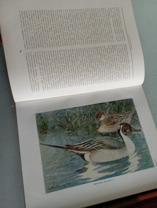 Книги для настоящих охотников.