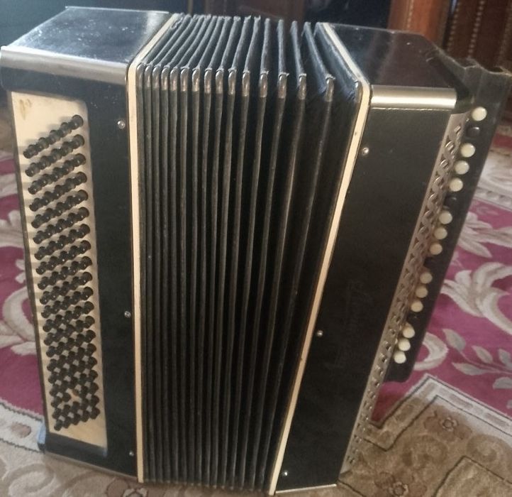boyan akkordion holati alo