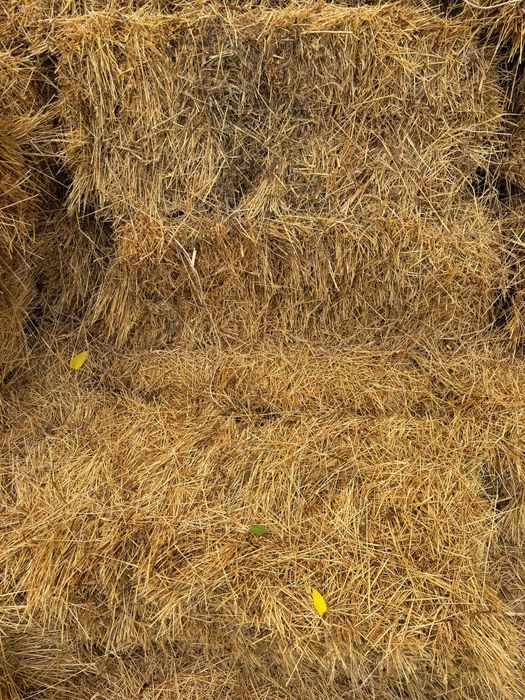 Сено разнотравие