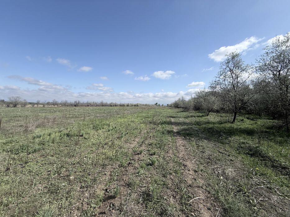 Сдам в аренду посевное поле (участок) вблизи г. Алматы