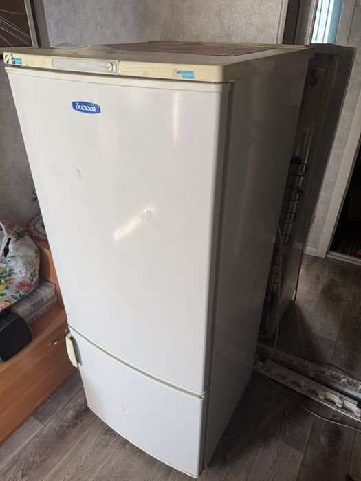 Холодильник Бирюса