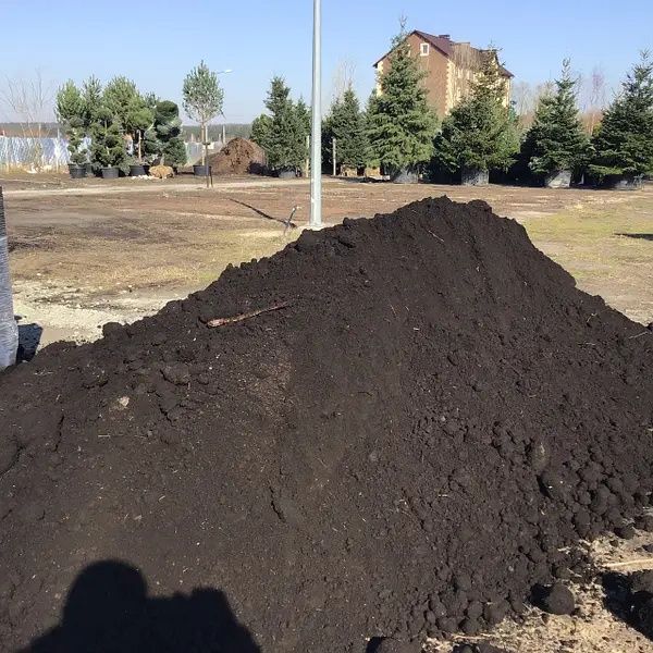 Чернозем черназем горный