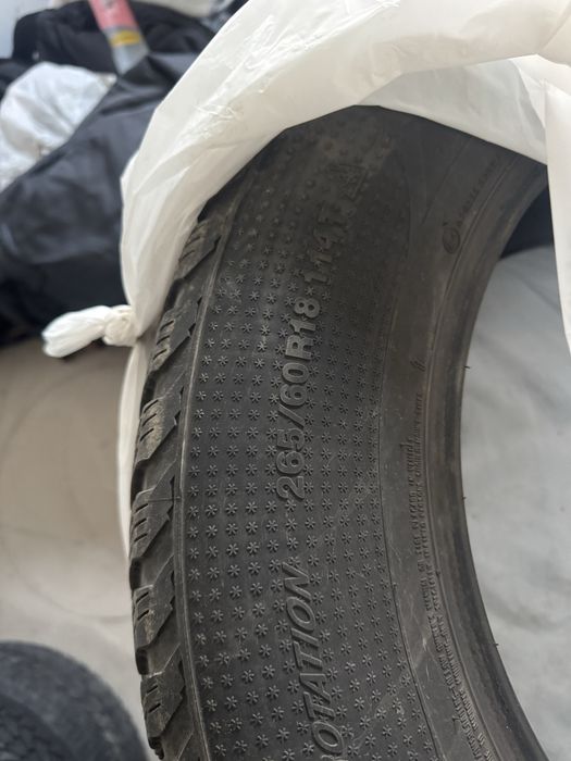 Шипованая ризина