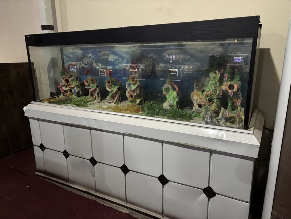 Narxi kelishiladi 600litrli akvarium