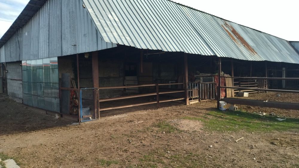 Дом, 50 соток земли.