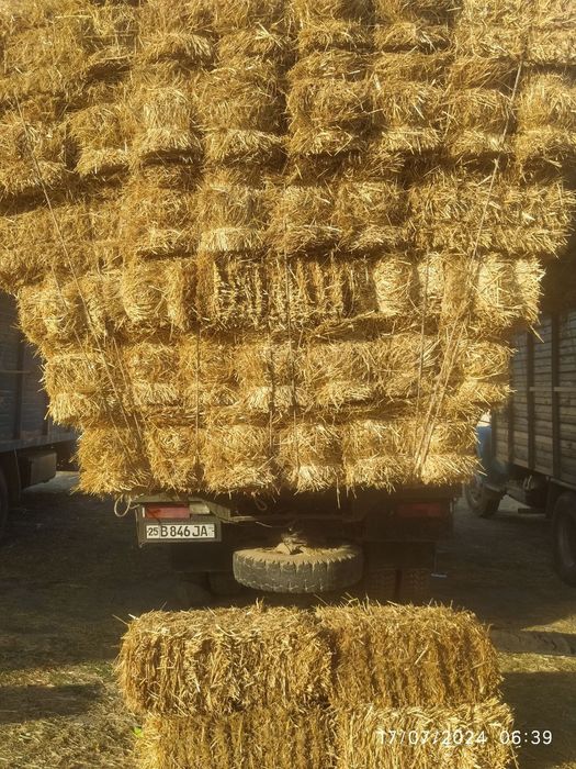 Gaz53 yuk bortli 100% ishga yaroqli