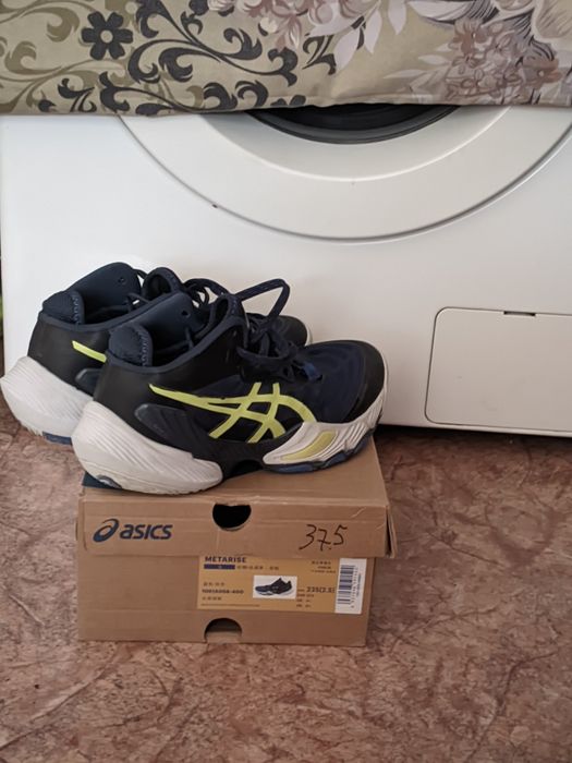 Asiks Metaris (Nishida)