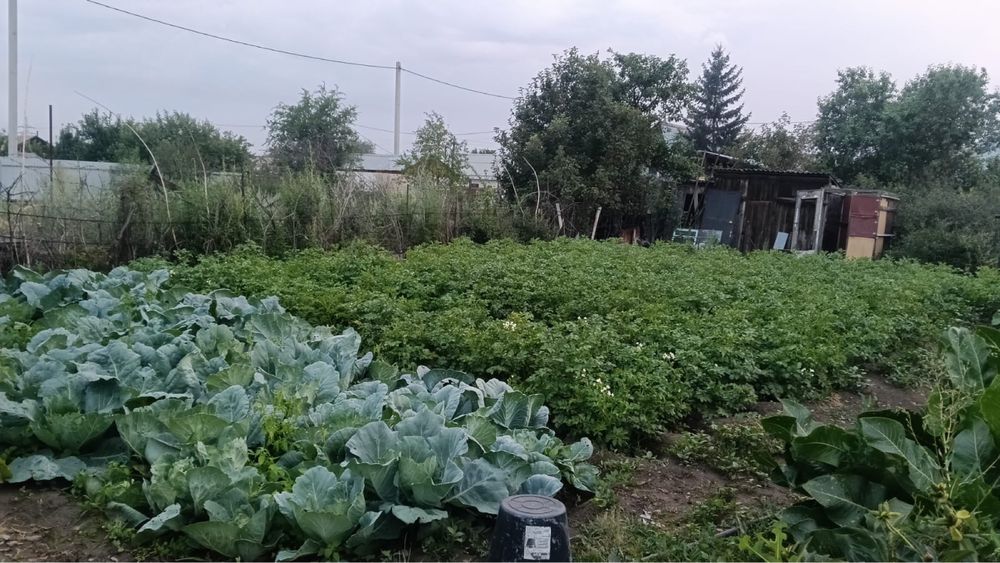 Частный дом Бобровка 440