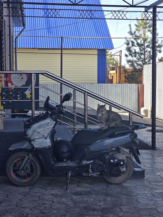 Мопед Танк 150 кубов