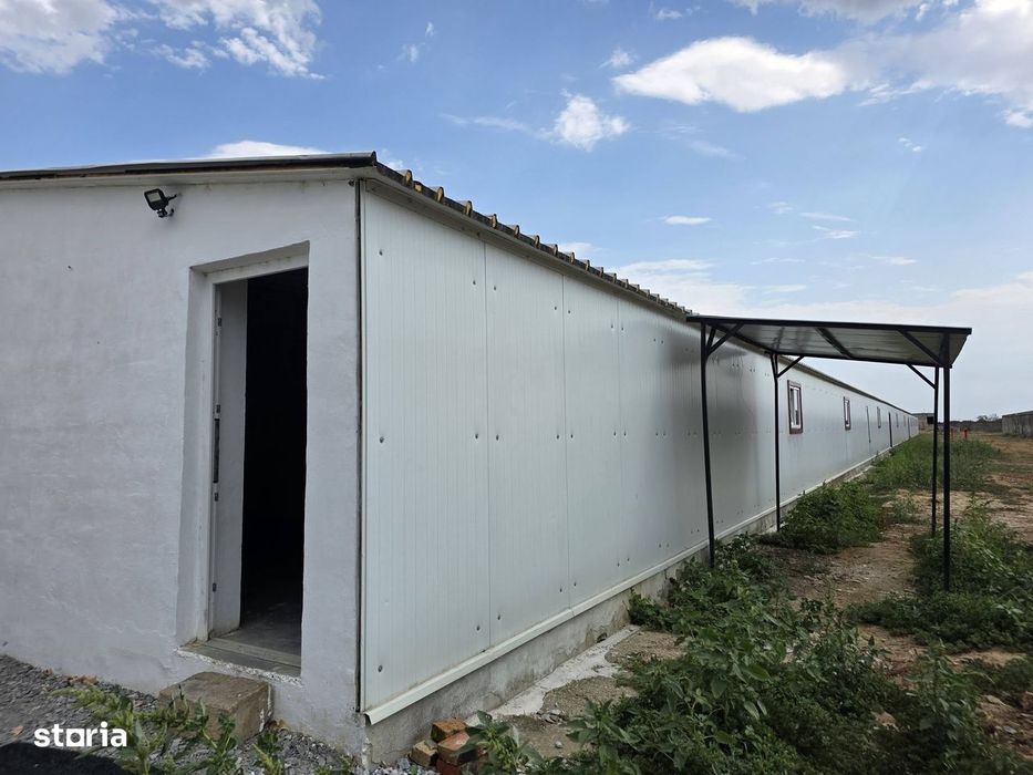 Hală De Vânzare În Palota , Teren 1.568 Mp ,Acces  Vehicule Grele