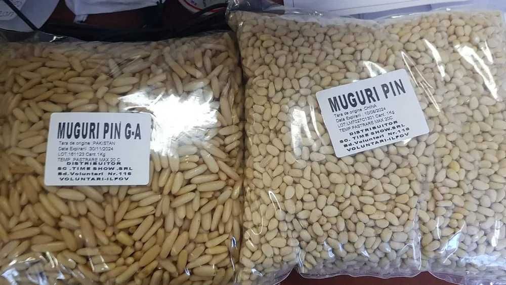 Muguri de pin bob rotund 1 KG