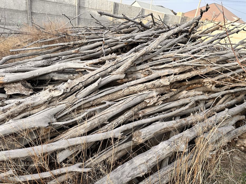 Дрова сухие для бани