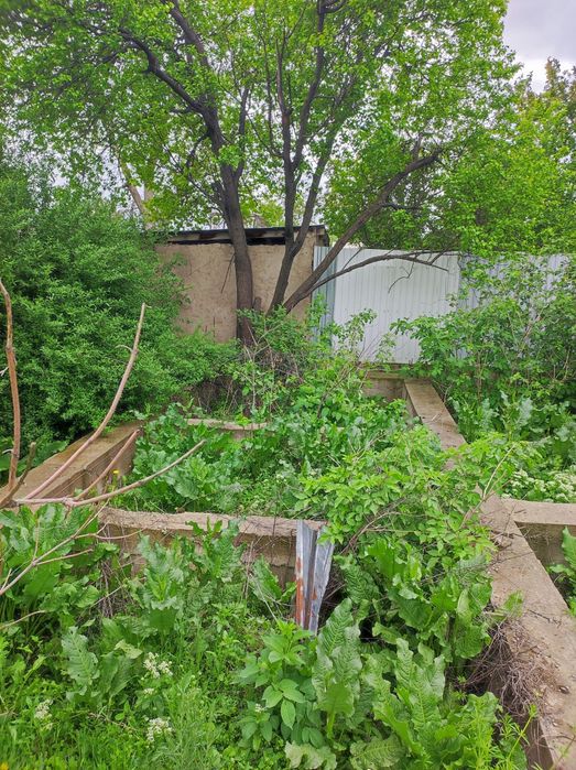 Дача кайнар булак