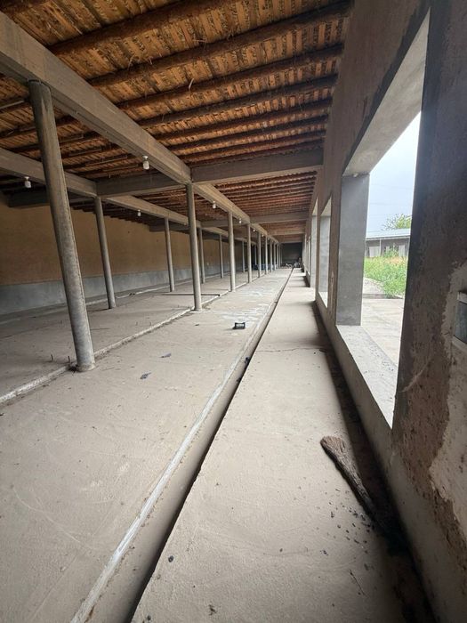 Продается новая Ферма (г. Янгиюль)