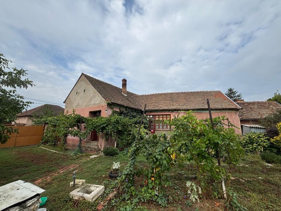 Casă de vânzare ultracentral Salonta, front stradal 27 ml