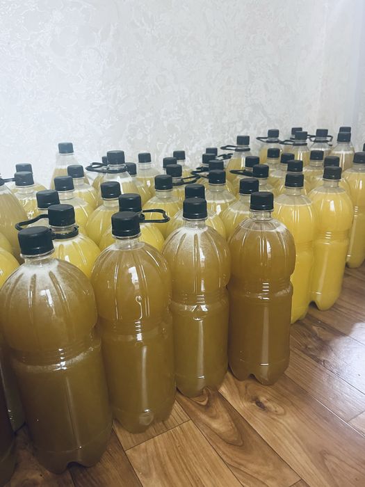Катон Карагайский мёд 2026