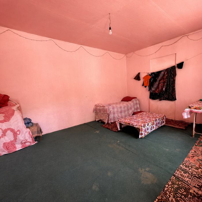 Chorvachilik uchun tayyor ferma
