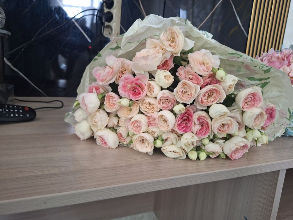 Цветы кустарные розы