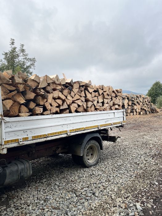 Lemn de foc fag 1234