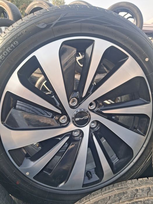 19  1 dona diska buvaydi chempion