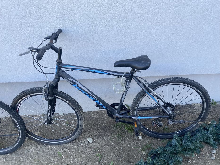 Bicicleta pentru adulti