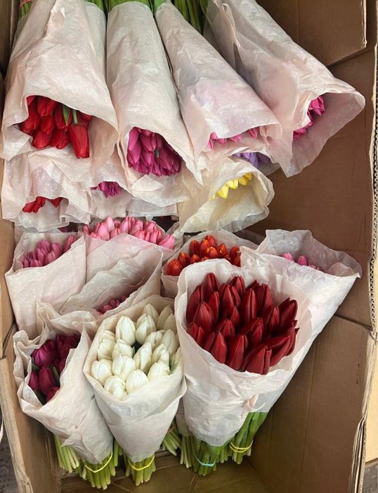 Тюльпаны оптом и в розницу