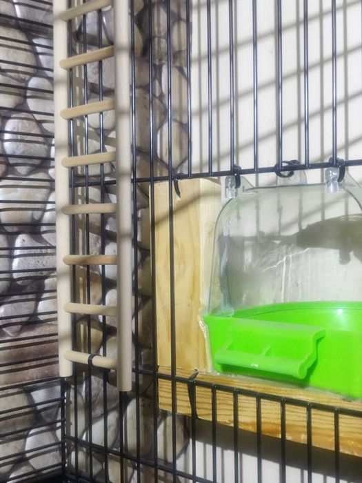 Кафес за папагали ( клетка )