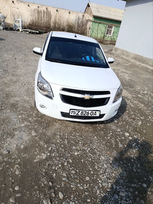 Коблт2 паз 2020 йил