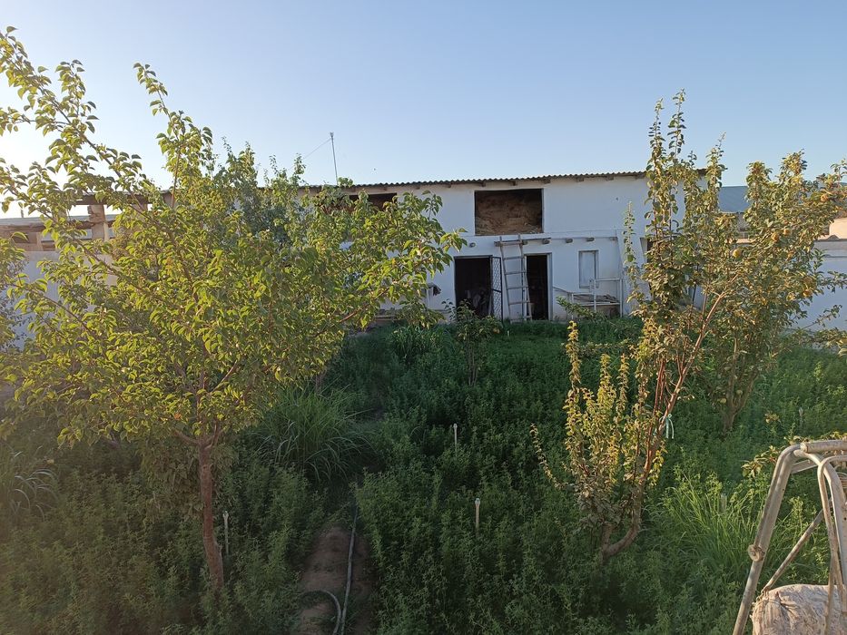 Урганч тумани эски машина бозор ёнида ховли-жой сотилади