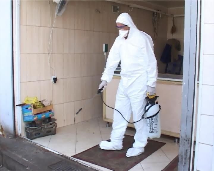 Дезинфекция насекомых 24/7