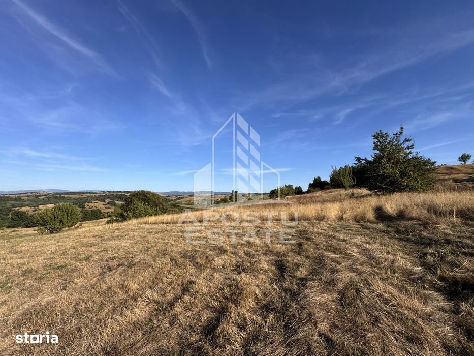 Teren de 50.000mp, priveliste panoramica spre munte si lac, Hunedoara