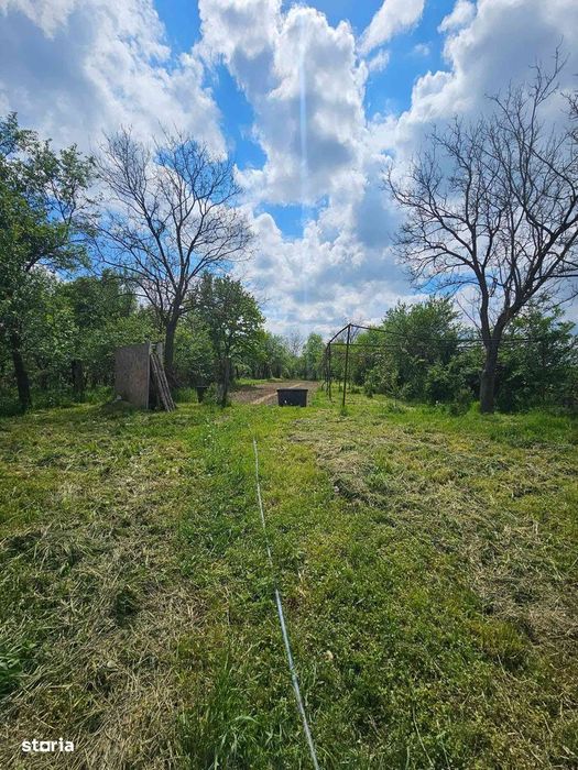 Casa de vanzare sat Rogoz