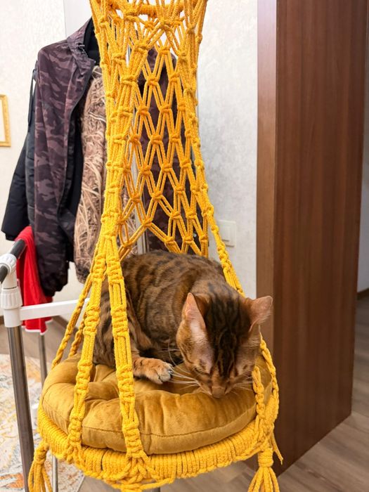 Гамаки для кошек и котов