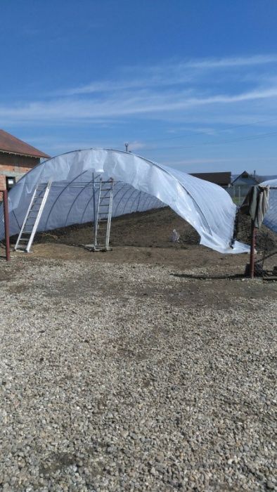 Solarii Profesionale de Legume