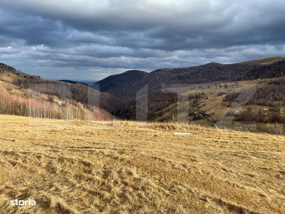 Teren Construibil - Muntele Baisorii , 5000mp - cu posibilitate de par