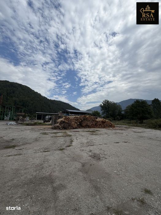 Proprietate Industrială / Comercială 25.951 Mp – Brezoi, Valcea