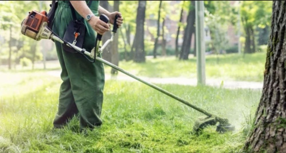 Чистене и извозване рязане на дървета