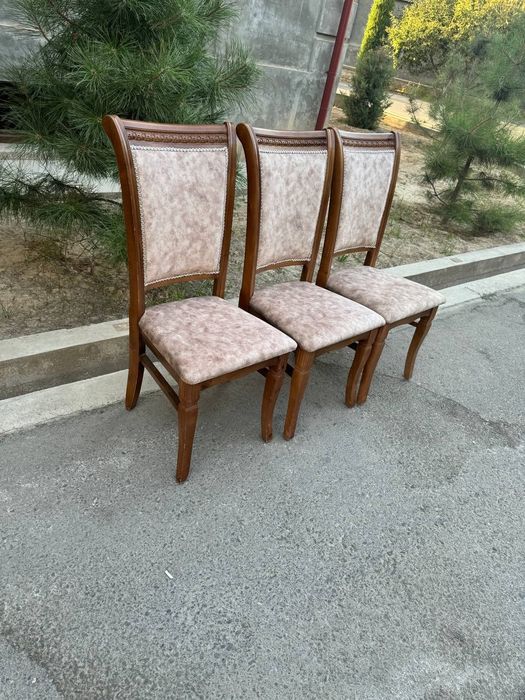 Prakat stol stul Naves zont 24/7  прокат стол стул зонт навес