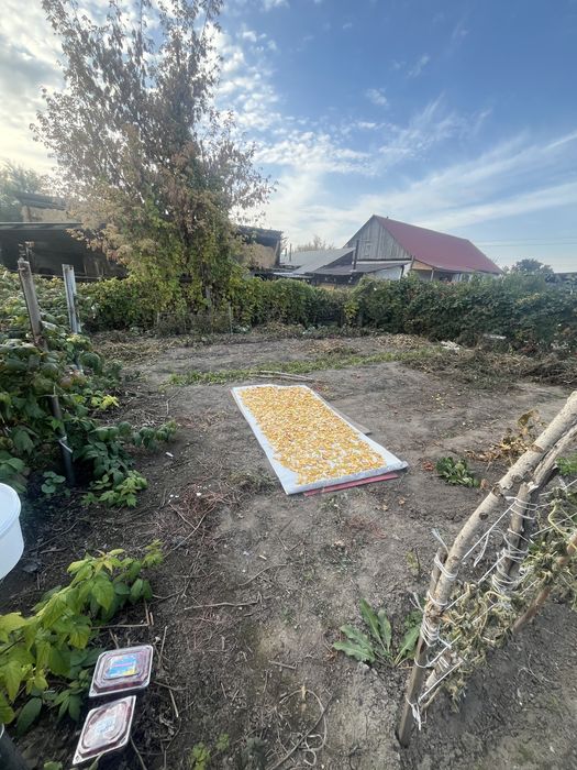 Продается дом с большим участком