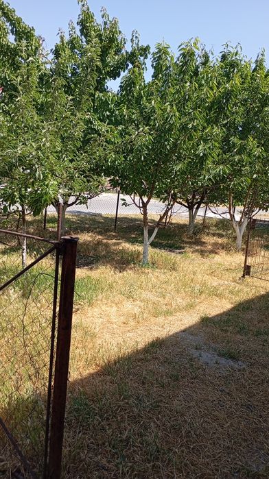 4 sotix yer sotiladi