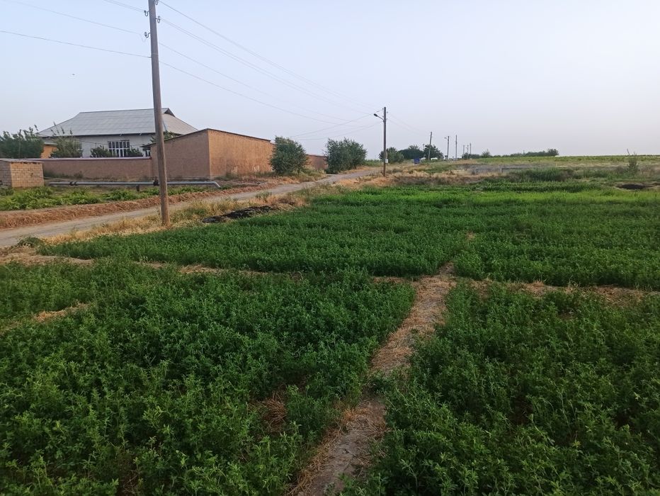 Митанда уй жой сотилади