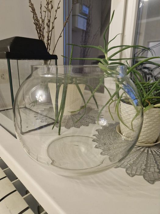 Аквариум для рыбок