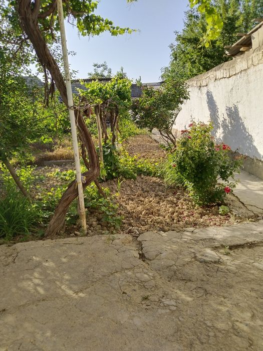 Срочно продается дом ховли