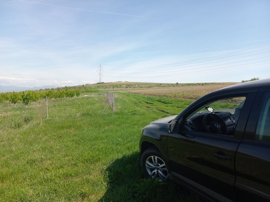 Teren extravilan în Pestisu Mare cu potențial imobiliar