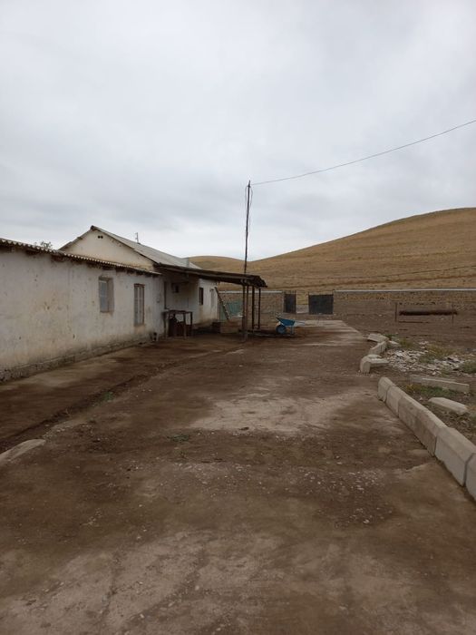 Ферма, для сельхоза и животноводничесва