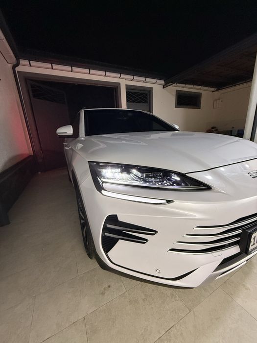 Byd Champion Gybrid 2024