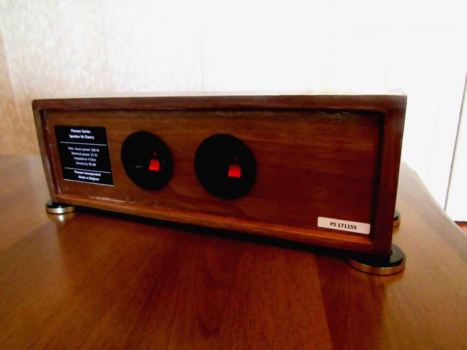 Портативная, стерео колонка «Pioneer» (Made in Belgium. 50W/4")