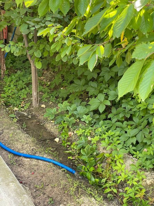 Toytepa dacha 6 sotix srochna
