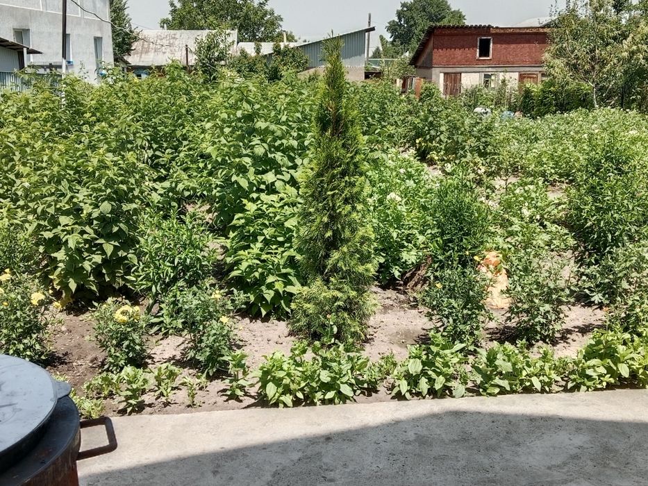 Продам дом новый тёплый