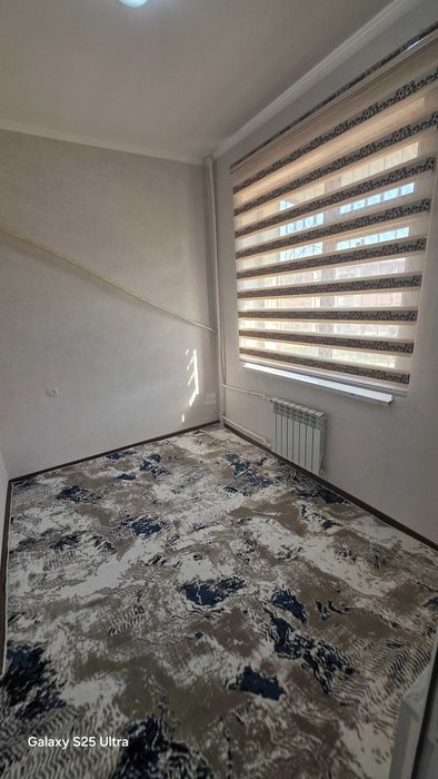 2 Xonalik 3 Xonalik qilingan Tinchlik Domi